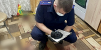 Следственными органами задержан курганец, подозреваемый в покушении на убийство ребенка - Следственный комитет