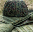 Бойцы «Барса» будут служить строго на территории Челябинской области - Южноуральская панорама