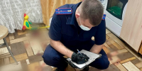 В Кургане отца задержали за избиение двухлетней дочери - M24.Ru