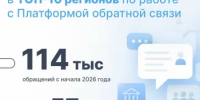 Нижегородская область вошла в топ-10 регионов по работе с Платформой обратной связи - Город Бор