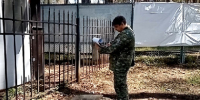 Перми владелец кафе пойдёт под суд за гибель девушки, упавшей с крыши веранды - Новости Перми PermNews.Ru