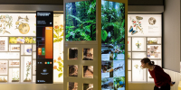 Сергунина рассказала о новом проекте на столичной платформе «Город идей» - Вечерняя Москва