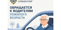 Госавтоинспекция Михайловского района обращается к водителям пожилого возраста. - Михайловский район