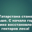 В Татарстане восстановили леса на площади более 1700 гектаров - Камская новь