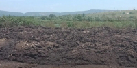 Фото: пресс-служба Росприроднадзора - ТК Краснодар
