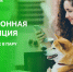 цифровые сервисы Росатом Энергосбыта – удобная возможность оплатить счет за жилищно-коммунальные услуги - фото - 1 - Шумячский район