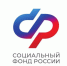 Более 80 самозанятых пензенцев перечисляют добровольные взносы на страхование по нетрудоспособности - Лопатинский район