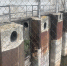 Фото: Минприроды АК фото - Алтайская правда