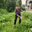 Рука размахнётся — и двор расцветёт. 72-летний златоустовец наводит порядок во дворе своего дома - Златоустовский рабочий