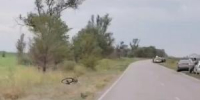 Велосипедист погиб под колесами иномарки на трассе Пролетарск-Большая Орловка - DonDay-Volgodonsk.Ru