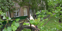 Глава Ростова назвал районы города, больше всего пострадавшие от урагана - Комсомольская правда