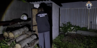 Калининградка убила сожителя и рассказала об этом соседям - Комсомольская правда