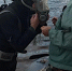 Подводная победа над рисками: псковские водолазы подтвердили исправность водозабора на Великой - Pln-Pskov.Ru