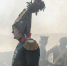 Сериал «Война и мир» начинают снимать в Костроме - Kostroma.Today