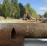 Фото: News29 - News29.Ru