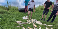 "Кладбище для рыбы": в Кильмезском районе сообщили о море рыбы - Город Киров