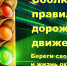 Picture background - Центральная районная библиотека