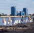 Пляж на Городском острове - Сетевое издание Арбуз