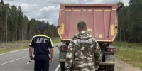 В Выборгском районе проверили более 30 перевозчиков отходов - 47Channel.Ru