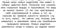 В Улан-Удэ отвергнутой «непутной» собачке нашли новый дом - ИА Байкал-Daily