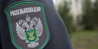 В Астраханской области с арендатора взыскали 4,4 млн рублей за причиненный почве ущерб - ГТРК Лотос