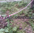 Неразорвавшийся снаряд времен ВОВ нашли под Волоколамском - M24.Ru