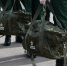 Штатная численность ВС РФ увеличена на 27 тыс человек для формирования подразделений - M24.Ru