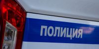 В Подмосковье задержан мужчина по подозрению в ложном доносе - ИА Общественная служба новостей