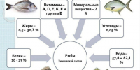 Предлагаем вам ознакомиться с памяткой о пользе рыбы и рыбопродуктов для здорового питания человека. - Варгашинский муниципальный округ