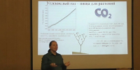 Учёные из Пущино рассказали, как растения «едят» воздух - Smitanka.Ru