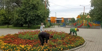 В Бийске продолжаются работы по благоустройству городских территорий - Газета Бийский рабочий
