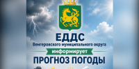 Метеорологический прогноз на 06.08.2026г. - Венгеровский район