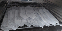 Архангельские генетики получили образцы растительного материала из Республики Коми - Рослесозащита
