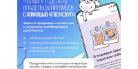 Питомцы так похожи на своих владельцев — им тоже нужны документы!. - Красногвардейский район