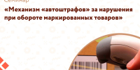 Центр «Мой бизнес» приглашает предпринимателей на семинар «Механизм «автоштрафов». - Южский район