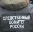 Бастрыкин взял на контроль дело о пропаже мужчины, работавшего в Тверской области - Афанасий-биржа