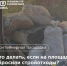 Стало известно, кто должен убирать строительный мусор с контейнерной площадки - Newsler.Ru