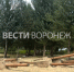 В Воронеже начали разбирать опасные детские площадки на Петровской набережной - ГТРК Воронеж