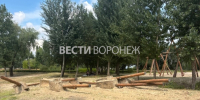 В Воронеже начали разбирать опасные детские площадки на Петровской набережной - ГТРК Воронеж