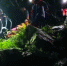 Туристку из Йошкар-Олы эвакуировали с горного маршрута в КЧР - ИА МедиаПоток