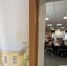 Штаб общественного наблюдения Общественной палаты Ленобласти обсуждает грядущие выборы - 47Channel.Ru