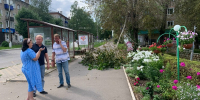 Опасность над головой: ветка тополя упала на тротуар - Город Ч.