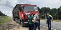 Более 30 перевозчиков отходов проверили в Выборгском районе Ленобласти - Online47.Ru