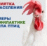 МЕРЫ ПО ПРОФИЛАКТИКЕ ГРИППА ПТИЦ. - Изобильненский городской округ