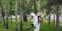 На костромских кладбищах запланирована дополнительная акарицидная обработка - Город Кострома