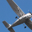 Пилоты пропавшего в Иркутской области самолета Cessna 182 найдены живыми - M24.Ru