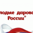 Более 20 юных северян стали призерами Общероссийского конкурса «Молодые дарования России» - Мурманский вестник
