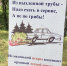 МЧС: в 30 саратовских районах высокая вероятность возникновения природных пожаров - ИА Взгляд-инфо