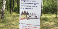 МЧС: в 30 саратовских районах высокая вероятность возникновения природных пожаров - ИА Взгляд-инфо