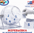 5082026_01.png - Избирательная комиссия